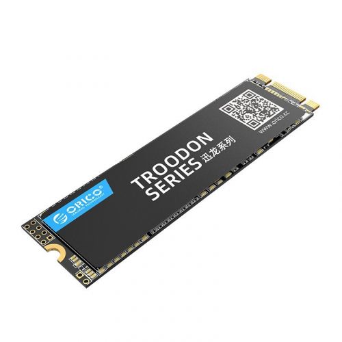 голяма снимка на Orico SSD V500 256GB M.2 PCI-E V500-256GB-BP