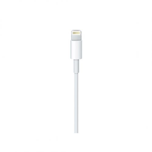 голяма снимка на Apple Lightning to USB-C Cable 2 m MKQ42ZM/A