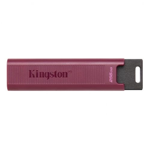 голяма снимка на 256GB USB3.2 DTMAXA KINGSTON