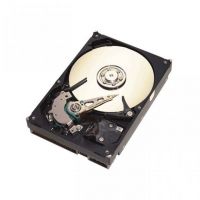 250GB SEAGATE SATA2/7200/8MB