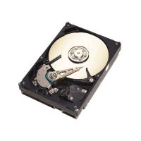 500GB SEAGATE NS SATA2/32MB