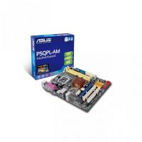 ASUS P5QPL-AM /G41/VGA/775