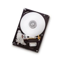 250GB HITACHI SATA2/8M/7200