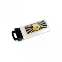 4GB USB KINGSTON WORLD CUP