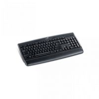 GENIUS KB 120 PS2 BLACK