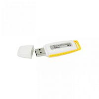 8GB USB KINGSTON /DTIG3