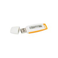 2GB USB KINGSTON /DTIG3