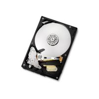 500GB HITACHI 5K1000/5400 8MB