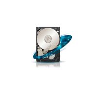2TB SEAGATE NS SATA/7200/64MB
