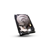 1T SG SATA 6G/7200/64 /3Y WARR
