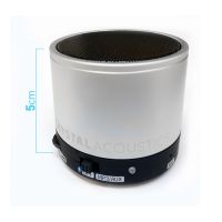 CRYSTAL AUDIO BOOMER-E/BT WL