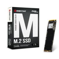 Biostar SSD 1TB M.2 PCI Express M700-1TB