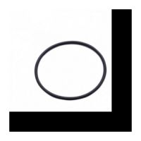 EK-D5 Pump O-Ring EKWB3831109817148
