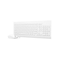 LENOVO WL DESKTOP 510 WHITE COMBO GX30W75336