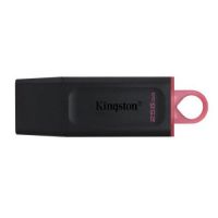 256GB USB3.2 DTX KINGSTON