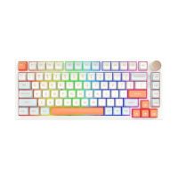 VGN Professional Gaming Mechanical Keyboard N75 RGB Jelly Orange Power Purple Switches Tactile