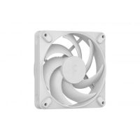 FD MOMENTUM 12 WHITE