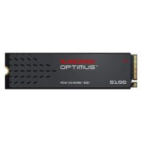 SanDisk SSD Optimus 5100 2 TB M.2 2280 PCIe 4.0 x4 NVMe