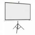 ACER TRIPOID SCREEN T82 82IN