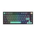 VGN Professional Gaming Mechanical Keyboard N75 RGB Caribbean Blue Power Silver Switches Linear