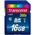 Transcend 16GB SDHC UHS-I Premium Class 10 TS16GSDU1
