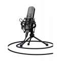 TRUST GXT 242 Lance Streaming Microphone 22614
