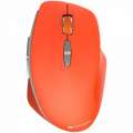 Canyon 2.4 GHz Wireless mouse CNS-CMSW21R