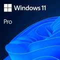 Windows 11 Professional 64Bit English Intl 1pk DSP OEI DVD FQC-10528